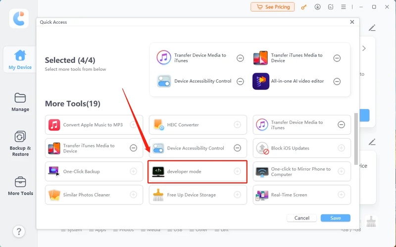 Adding Developer Mode for Quick Access