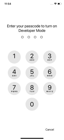 Enabling Developer Mode on Iphone