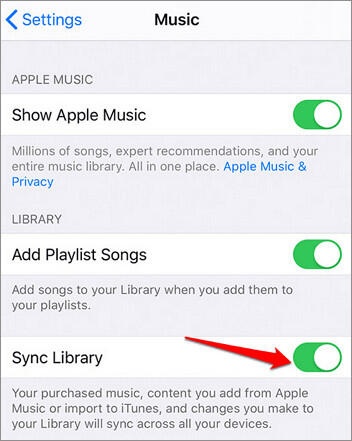 Enable Sync Library in Iphone Settings