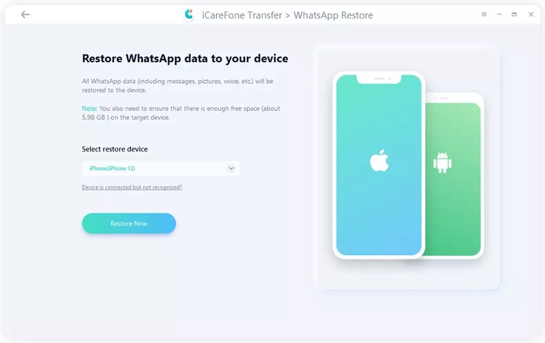 Restore Data Transfer Process Steps