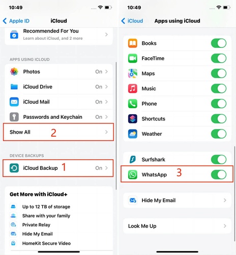 Enable Whatsapp in Icloud Settings