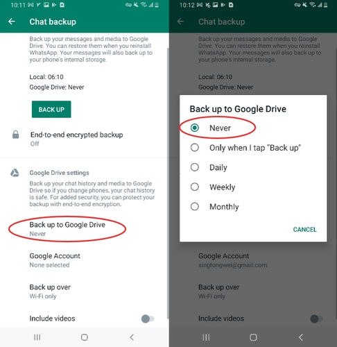 Select Google Drive Backup Options